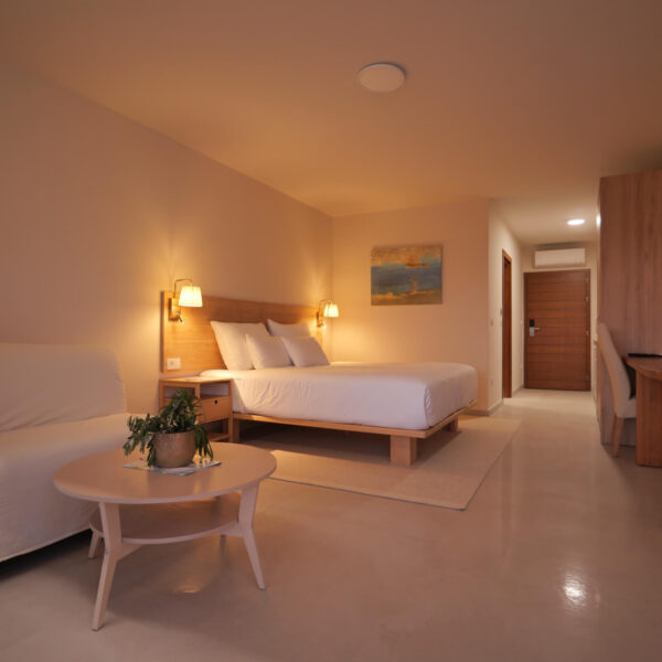 Double sized bed with couch, coffe table and television