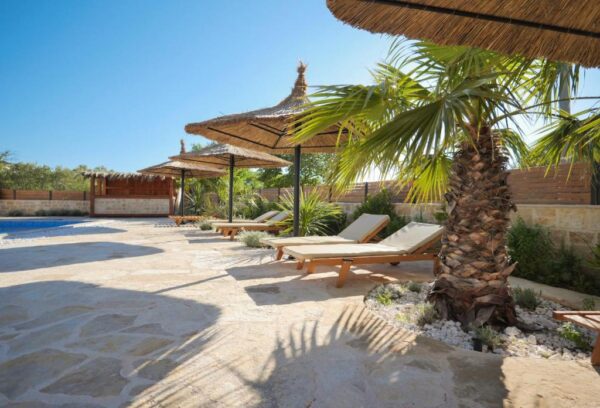 Straw umbrellas over sun loungers between palms on the sunny terrace by the pool