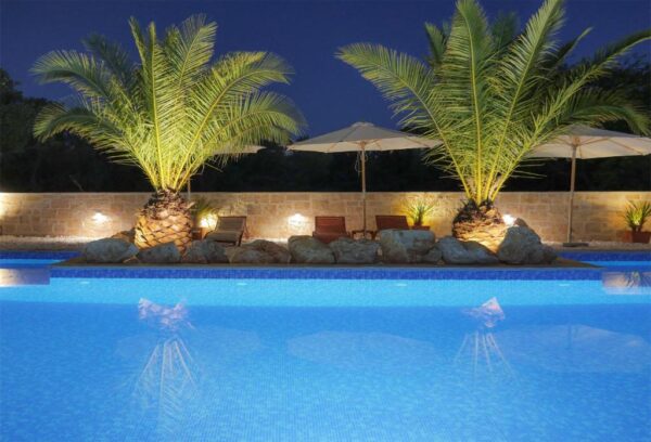Night view of the illuminated outdoor pool with sun loungers and palms