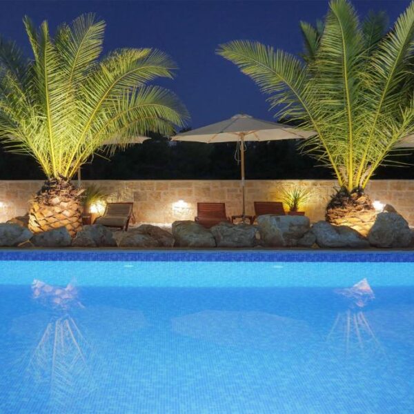 Night view of the illuminated outdoor pool with sun loungers and palms