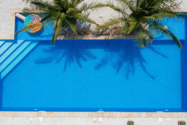 Birdview of the outside pool covered by two big palms