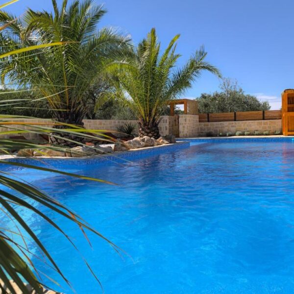 Close up picture of the pool surrounded by palm trees