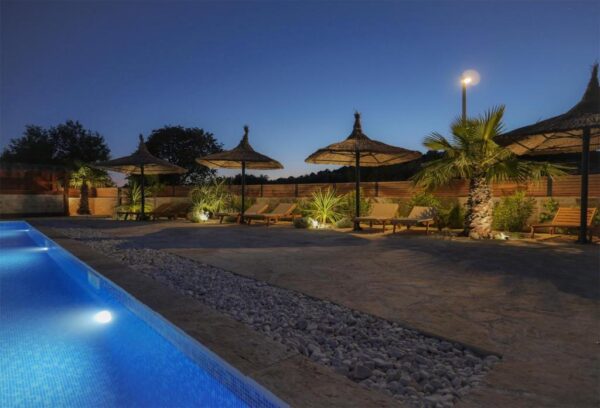 Evening view of multiple sunlounger with parasols between palms and the pool