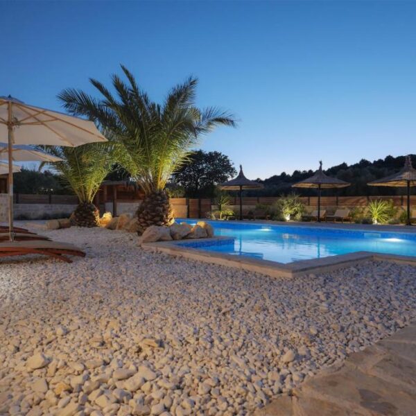 Evening view of multiple sunlounger with parasols between palms and the pool