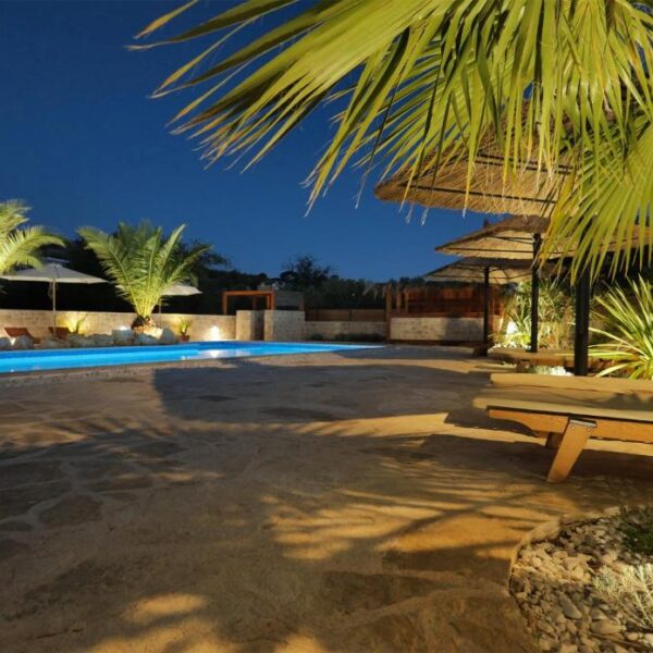 Evening view of multiple sunlounger with parasols between palms