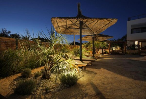 Evening view of multiple sunlounger with parasols between palms
