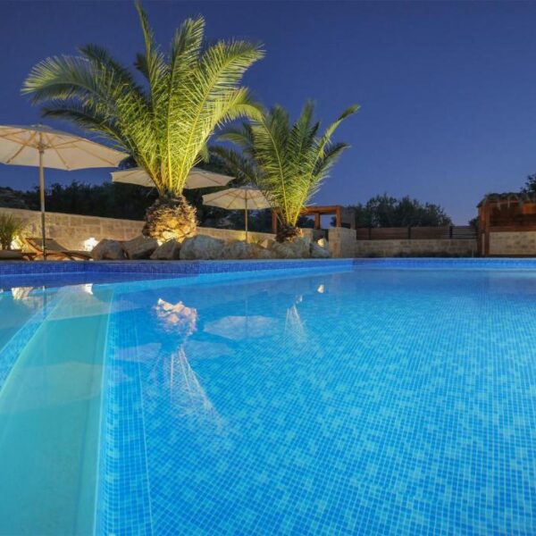 Evening view of pool and palms