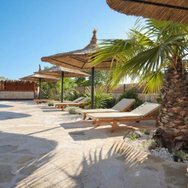 Multiple sunlounger with parasols between palms