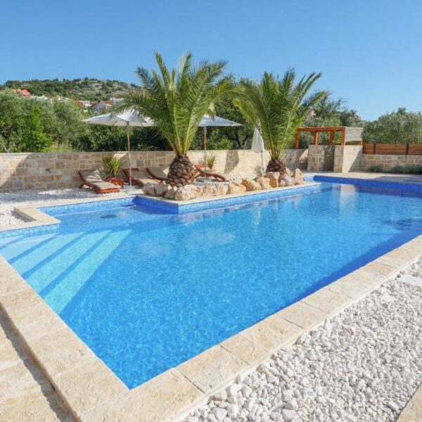 Close up of pool and palms