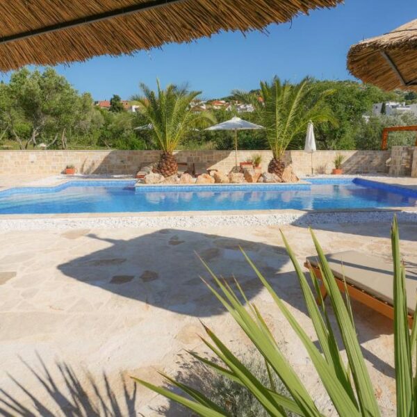 View of terrace and pool during daytime