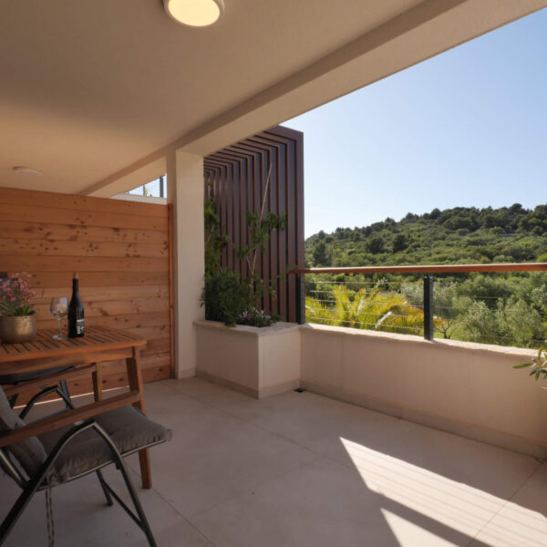 View of the lush forest from terrace lounge
